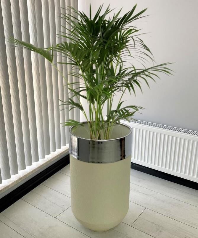 Dekoratif Krom Darbuka Beyaz Saksı 70cm