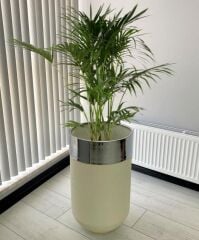 Dekoratif Krom Darbuka Beyaz Saksı 70cm