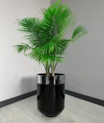 Dekoratif Krom Darbuka Parlak Siyah Saksı 60cm