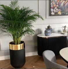 DEKORATİF BÜYÜK GOLD SAKSI, Darbuka Saksı 50 cm