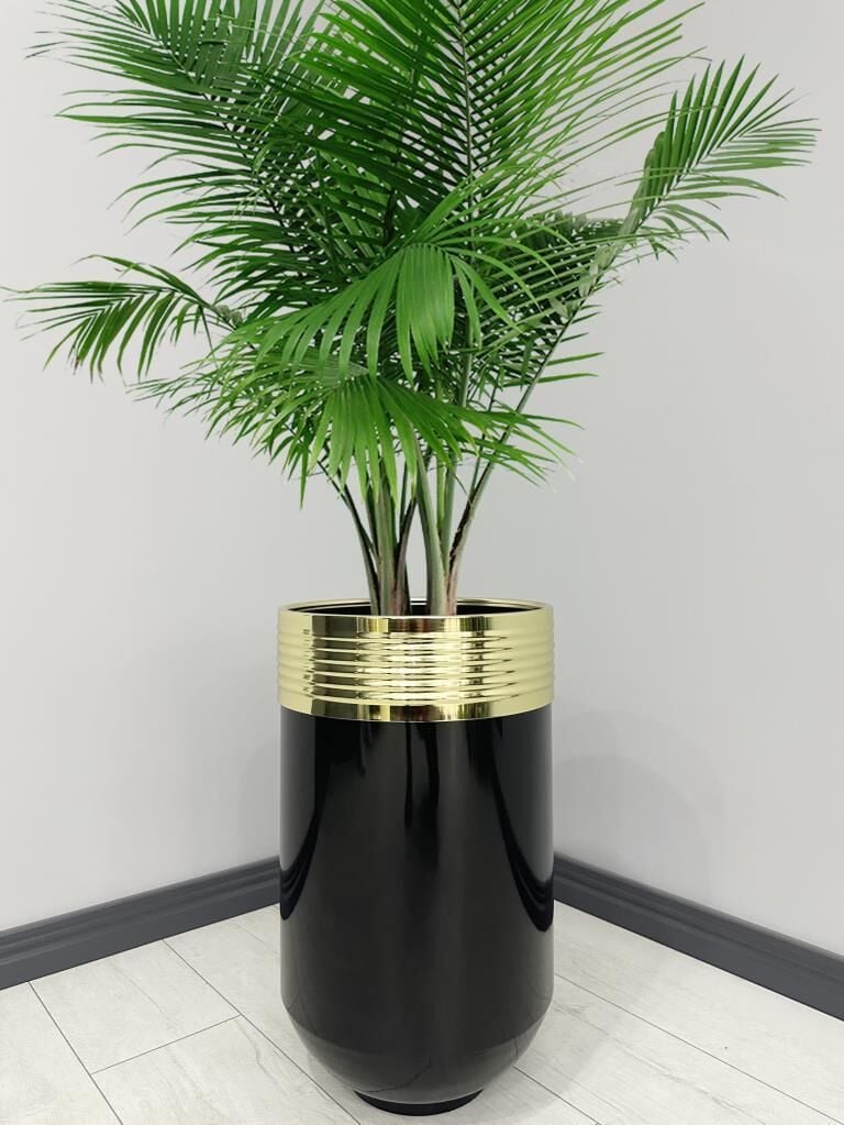 ELEGANT Dekoratif Gold Darbuka Parlak Siyah Saksı 70cm