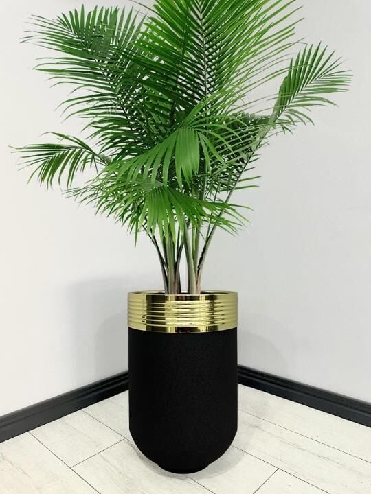 ELEGANT Dekoratif Gold Darbuka Siyah Saksı 60cm