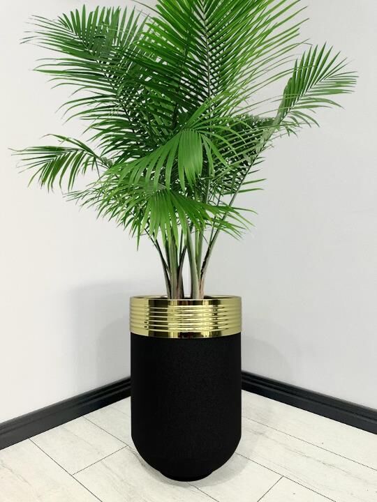 ELEGANT Dekoratif Gold Darbuka Siyah Saksı 60cm