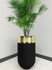 ELEGANT Dekoratif Gold Darbuka Siyah Saksı 70cm