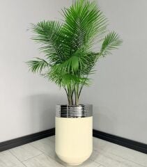 ELEGANT Dekoratif Krom Darbuka Krem Saksı 60cm ELGNT60KRMSAKB