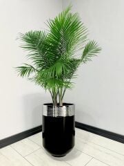 ELEGANT Dekoratif Krom Darbuka Parlak Siyah Saksı 60cm