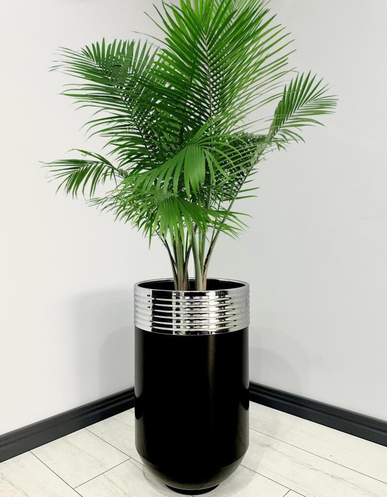 ELEGANT Dekoratif Krom Darbuka Parlak Siyah Saksı 70cm