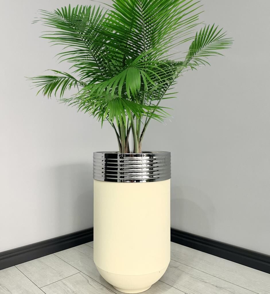 ELEGANT Dekoratif Krom Darbuka Krem Saksı 70cm ELGNT70KRMSAKB