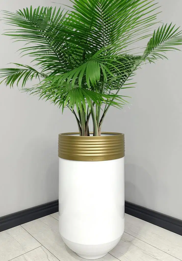 ELEGANT Dekoratif Eskitme Darbuka Parlak Beyaz Saksı 70cm