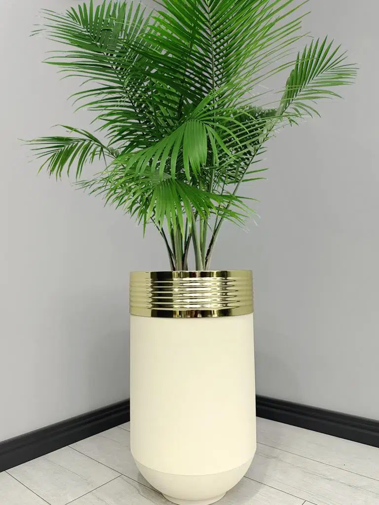 ELEGANT Dekoratif Gold Darbuka Krem Saksı 70cm