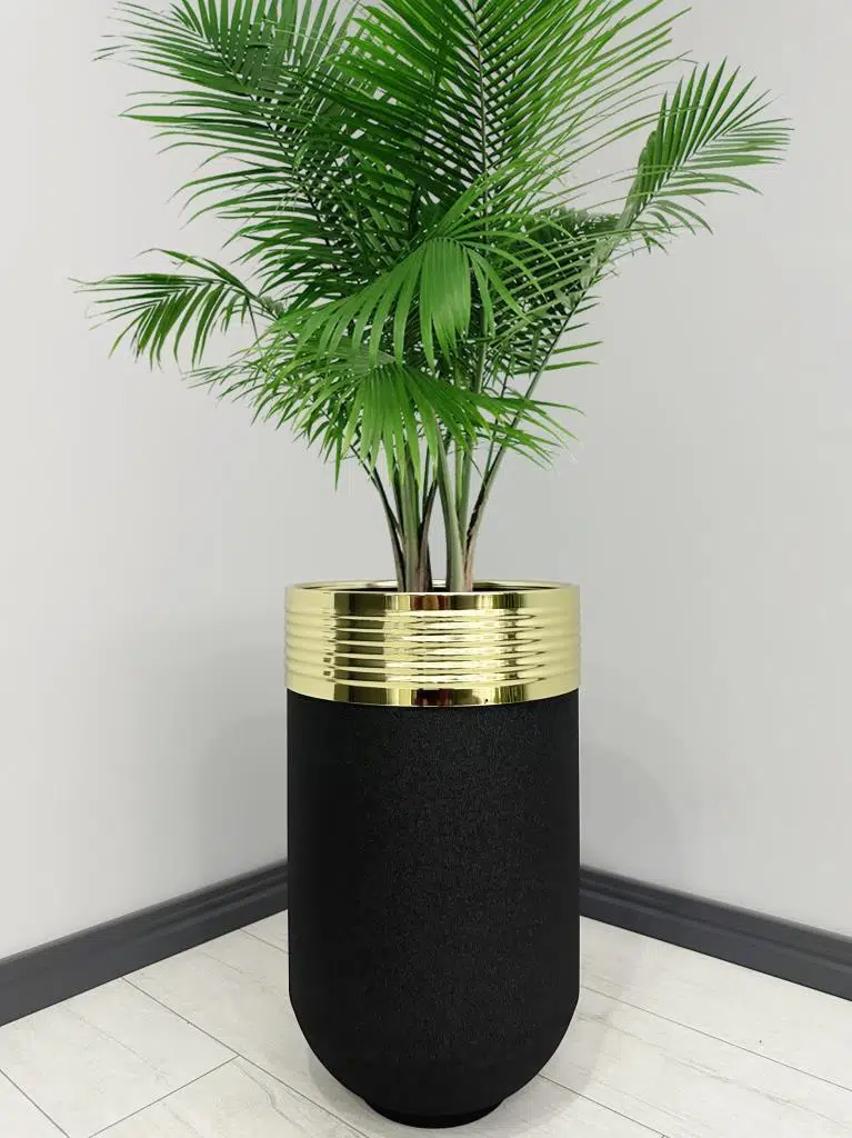 ELEGANT Dekoratif Gold Darbuka Siyah Saksı 70cm