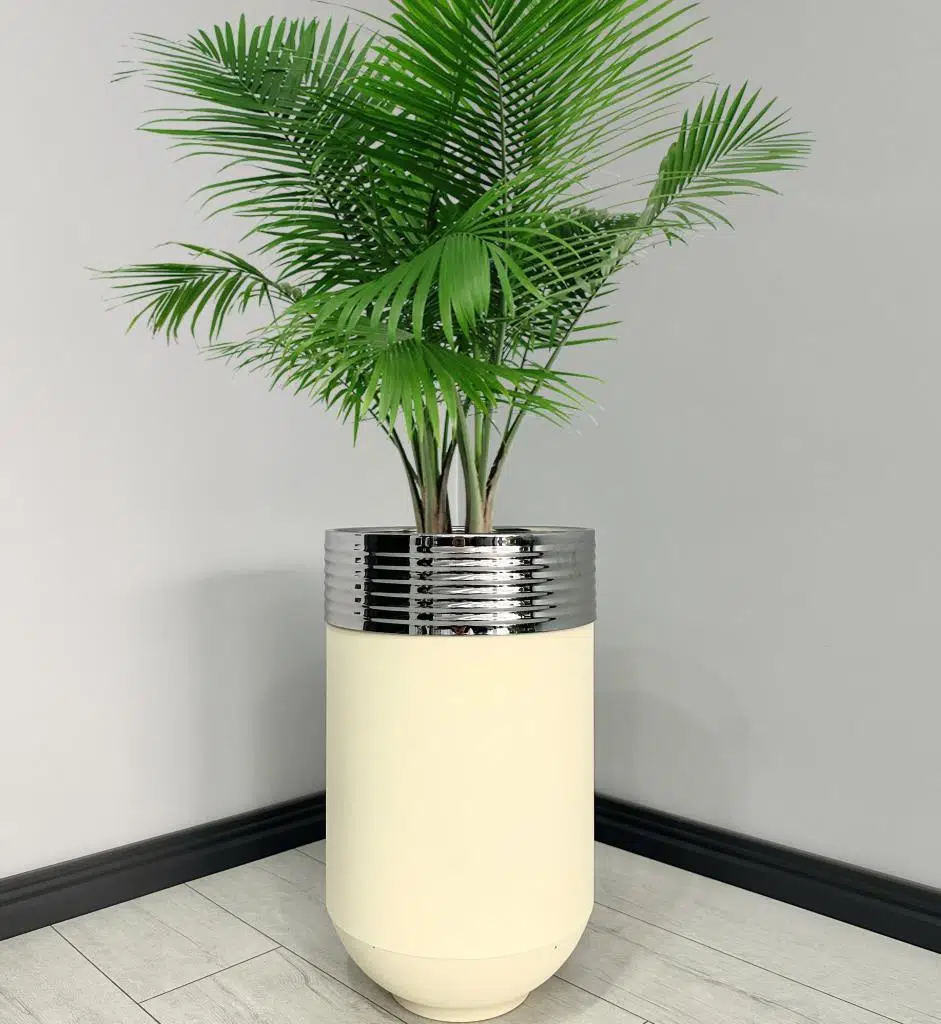 ELEGANT Dekoratif Krom Darbuka Krem Saksı 70cm ELGNT70KRMSAKB